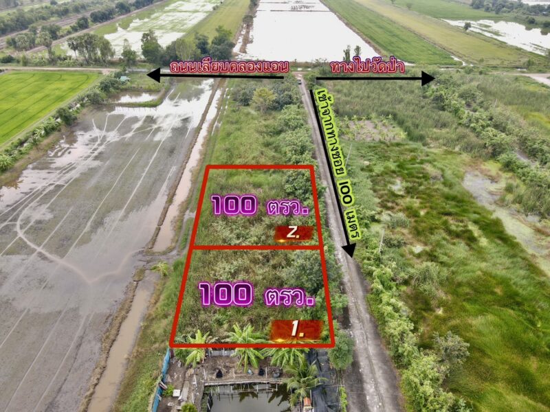 ที่ดินคลอง 11 หนองเสือ ปทุมธานี แปลงเล็กราคาถูก 100 ตรว. เพียง 360,000 บาท
