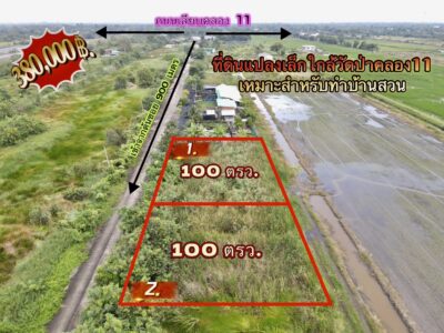 ที่ดินคลอง 11 หนองเสือ ปทุมธานี แปลงเล็กราคาถูก 100 ตรว. เพียง 360,000 บาท