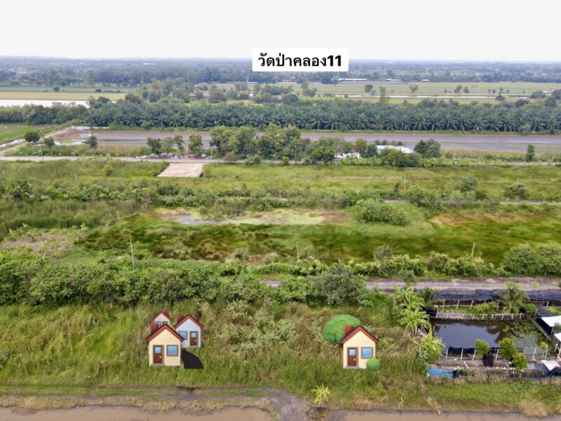 ที่ดินคลอง 11 หนองเสือ ปทุมธานี แปลงเล็กราคาถูก 100 ตรว. เพียง 360,000 บาท