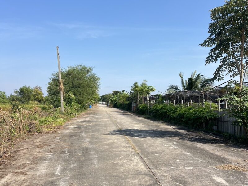 ที่ดินคลอง 11 หนองเสือ ปทุมธานี แปลงเล็กราคาถูก 100 ตรว. เพียง 360,000 บาท