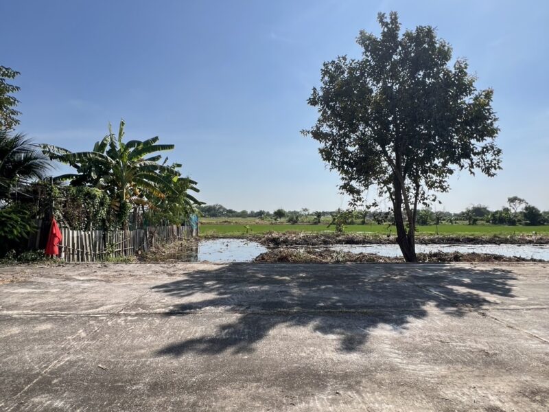 ที่ดินคลอง 11 หนองเสือ ปทุมธานี แปลงเล็กราคาถูก 100 ตรว. เพียง 360,000 บาท