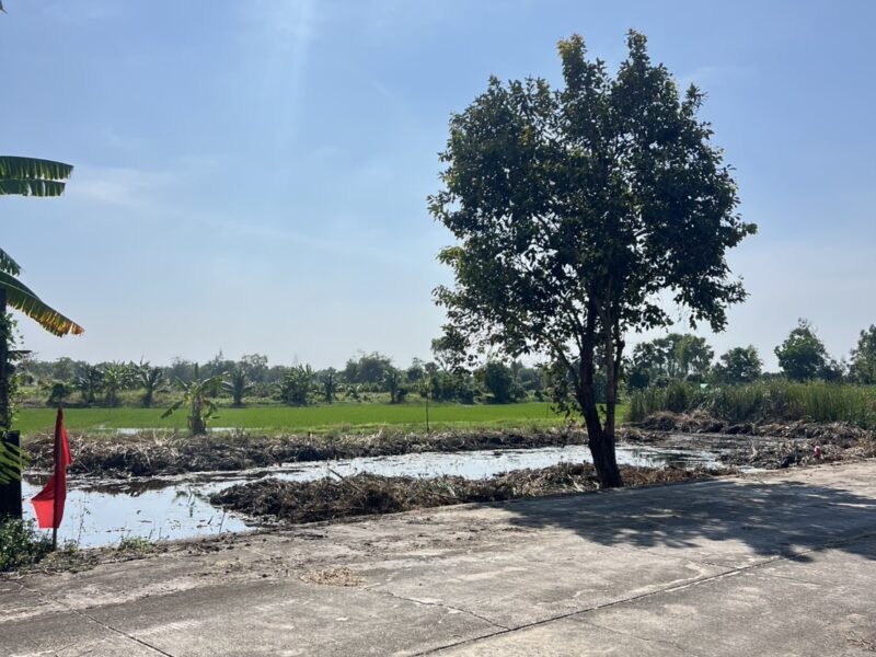 ที่ดินคลอง 11 หนองเสือ ปทุมธานี แปลงเล็กราคาถูก 100 ตรว. เพียง 360,000 บาท