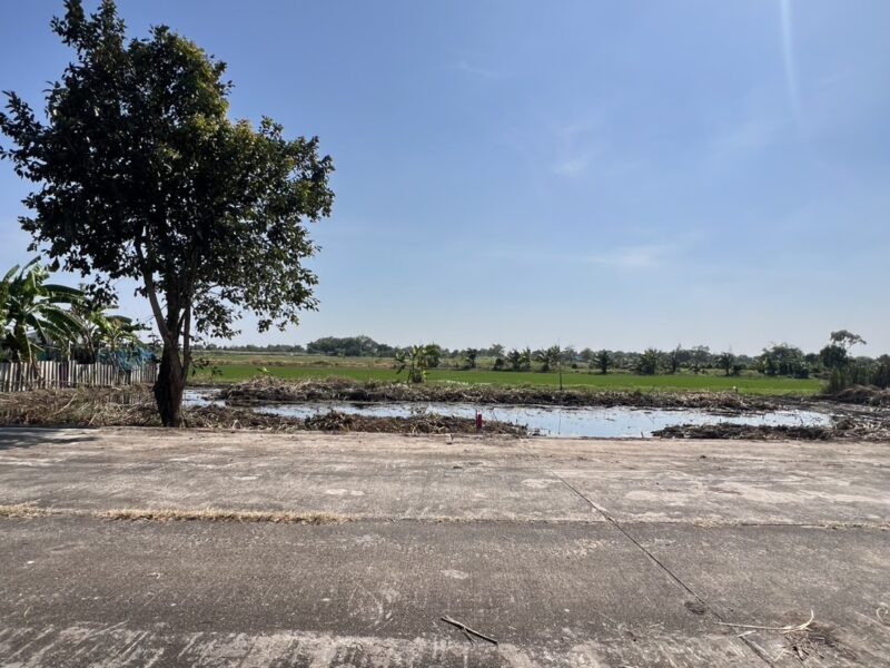 ที่ดินคลอง 11 หนองเสือ ปทุมธานี แปลงเล็กราคาถูก 100 ตรว. เพียง 360,000 บาท