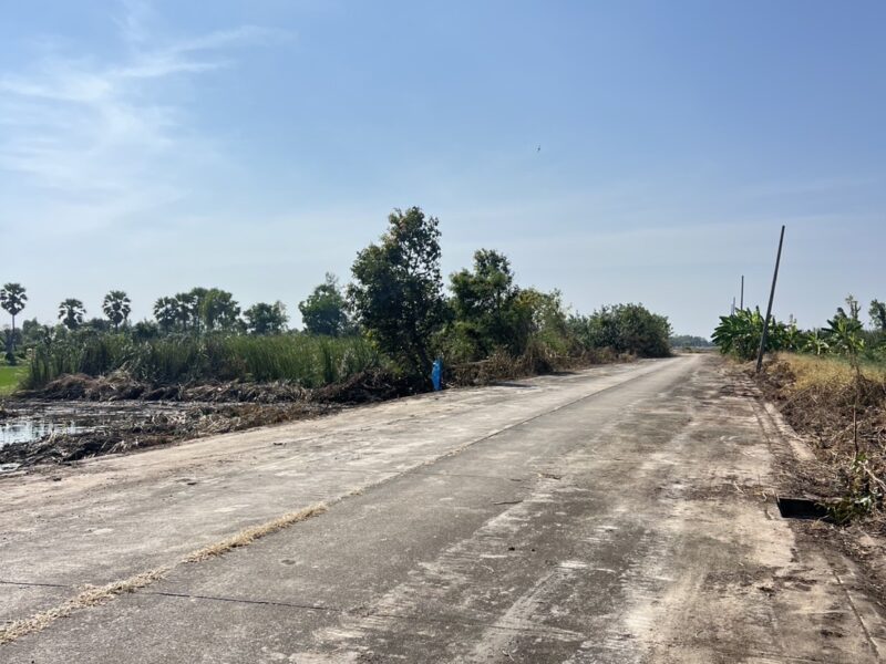 ที่ดินคลอง 11 หนองเสือ ปทุมธานี แปลงเล็กราคาถูก 100 ตรว. เพียง 360,000 บาท