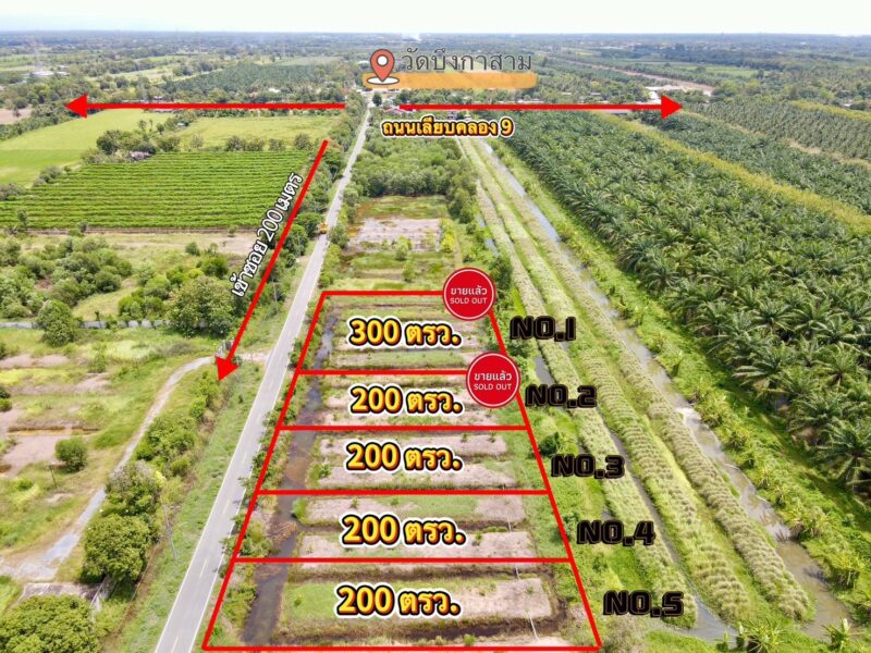 ที่ดินคลอง 9 หนองเสือ ปทุมธานี 200 ตรว. ราคาถูก ทำเลอนาคต เหมาะปลูกบ้าน ทำโกดัง ฟรีค่าโอน