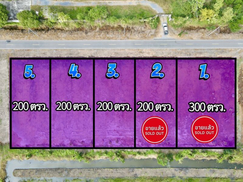 ที่ดินคลอง 9 หนองเสือ ปทุมธานี 200 ตรว. ราคาถูก ทำเลอนาคต เหมาะปลูกบ้าน ทำโกดัง ฟรีค่าโอน