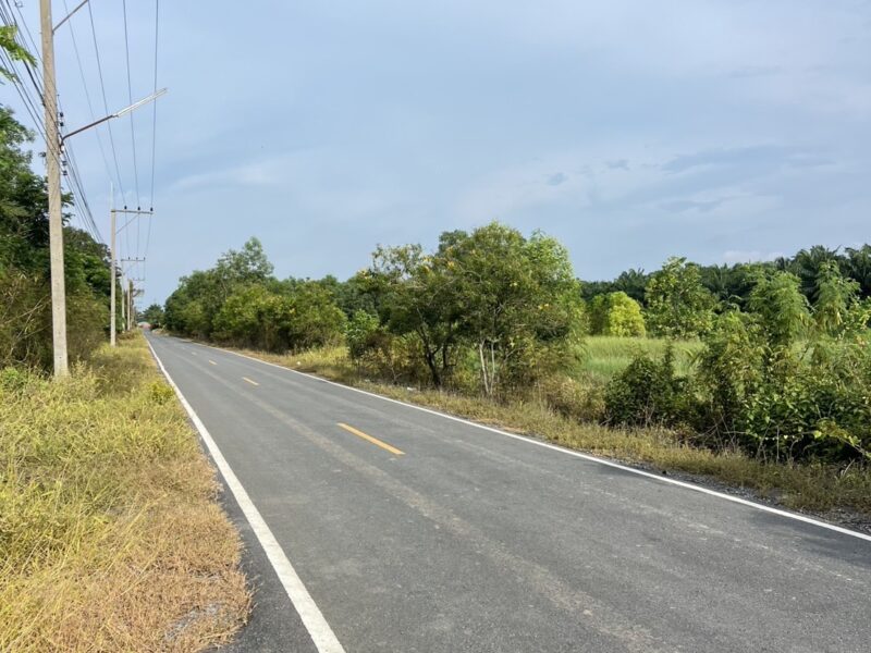 ที่ดินคลอง 9 หนองเสือ ปทุมธานี 200 ตรว. ราคาถูก ทำเลอนาคต เหมาะปลูกบ้าน ทำโกดัง ฟรีค่าโอน