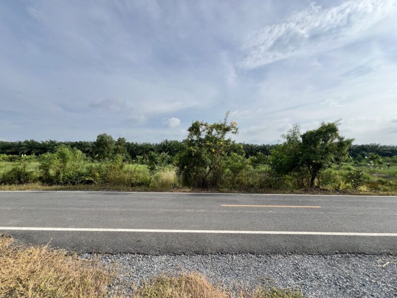 ที่ดินคลอง 9 หนองเสือ ปทุมธานี 200 ตรว. ราคาถูก ทำเลอนาคต เหมาะปลูกบ้าน ทำโกดัง ฟรีค่าโอน