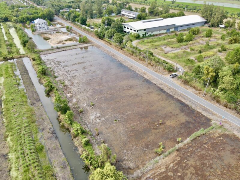 ที่ดินคลอง 9 หนองเสือ ปทุมธานี 200 ตรว. ราคาถูก ทำเลอนาคต เหมาะปลูกบ้าน ทำโกดัง ฟรีค่าโอน