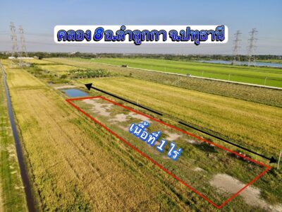 ขายที่ดินคลอง 8 ลำลูกกา ปทุมธานี 1 ไร่ ทำเลดี ใกล้ชุมชน ราคา 1.9 ล้าน