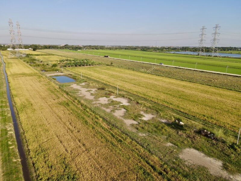 ขายที่ดินคลอง 8 ลำลูกกา ปทุมธานี 1 ไร่ ทำเลดี ใกล้ชุมชน ราคา 1.9 ล้าน