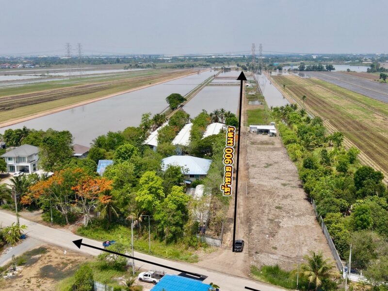 ขายที่ดินคลอง 8 ลำลูกกา ปทุมธานี 1 ไร่ ทำเลดี ใกล้ชุมชน ราคา 1.9 ล้าน