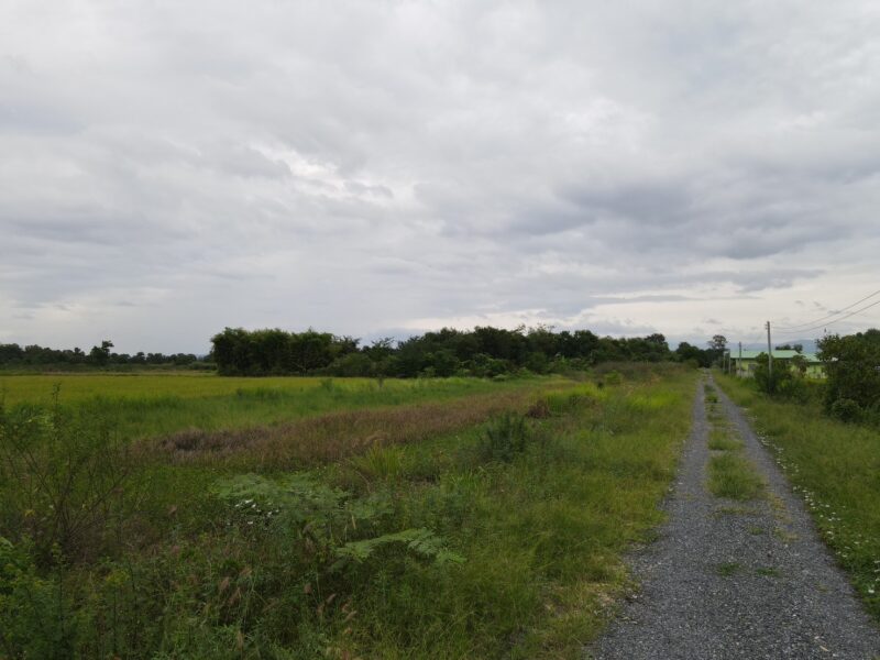 ที่ดินเงินผ่อน นครนายก ทำเลดี อ.บ้านนา โฉนดครุฑแดง