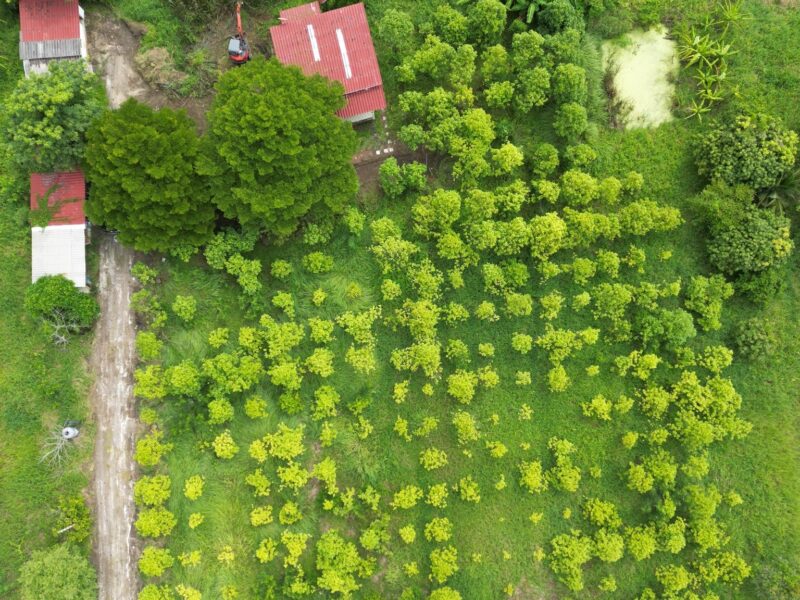 ที่ดินหนองจอก ติดคลองธรรมชาติ บรรยากาศดี เจ้าของขายเอง