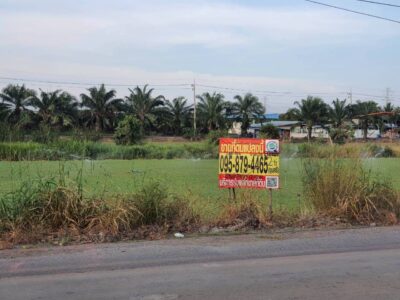 ขายถูกที่สุดที่ดินติดถนนปท.4002 เนื้อที่ 2 ไร่ ทำเลทองธุรกิจ คลอง 12 อ.หนองเสือ จ.ปทุมธานี