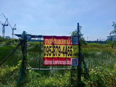 ขายด่วนที่ดินคลองหก 200 ตรว ใกล้วัดเกตุประภา ซ.ลำลูกกา 97 อ.ลำลูกกา จ.ปทุมธานี