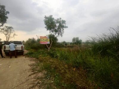 ขายถูกที่ดินคลองสี่ 200 ตรว ติดถนนสาธารณะ ใกล้วัดมงคลพุกการาม ซ.ขาวแดง อ.คลองหลวง จ.ปทุมธานี