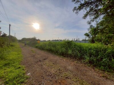 ขายถูกที่ดินใกล้สนามกอล์ฟอัลไพน์ 260 ตรว ติดถนนสาธารณะ ซ.คลองห้าตอ. 30 อ.คลองหลวง จ.ปทุมธานี