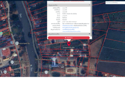 ขายที่ดิน 2 ไร่กว่า ใกล้วัดสามประชุม จ.อ่างทอง