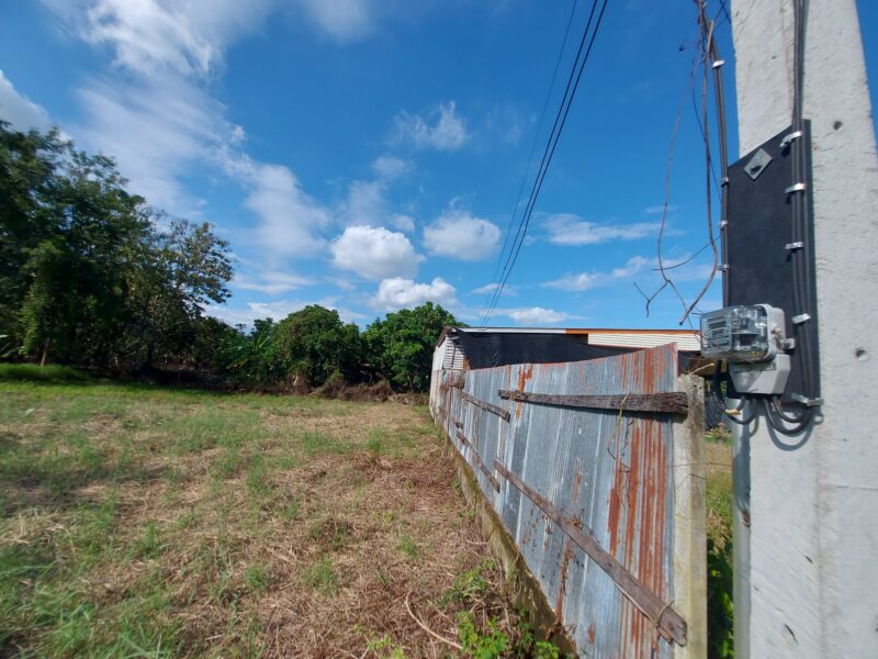 ขายที่ดินหางดง เชียงใหม่ 100 ตร.วา แปลงสวยถมแล้ว เงียบสงบ ทำเลทองใกล้นานาชาติ! ซื้อเก็บวันนี้ อีก 3 ปีราคานี้หาไม่ได้แล้ว