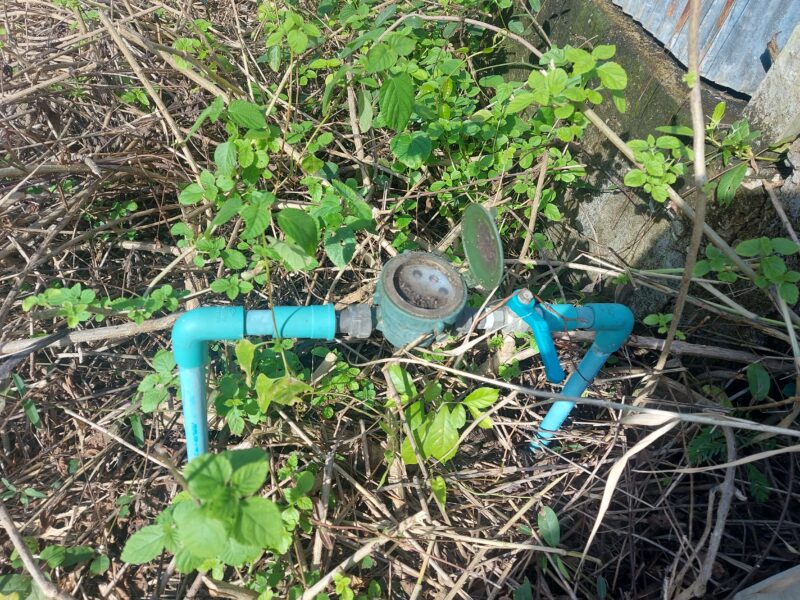 ขายที่ดินหางดง เชียงใหม่ 100 ตร.วา แปลงสวยถมแล้ว เงียบสงบ ทำเลทองใกล้นานาชาติ! ซื้อเก็บวันนี้ อีก 3 ปีราคานี้หาไม่ได้แล้ว