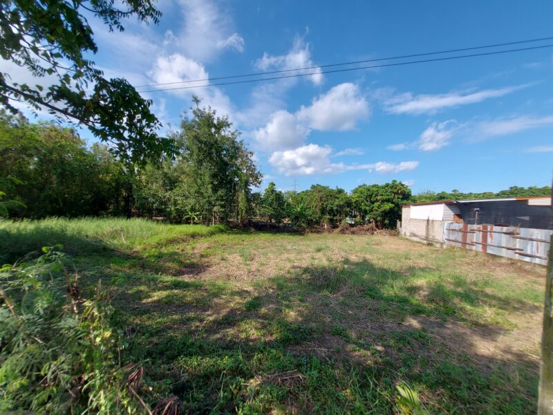 ขายที่ดินหางดง เชียงใหม่ 100 ตร.วา แปลงสวยถมแล้ว เงียบสงบ ทำเลทองใกล้นานาชาติ! ซื้อเก็บวันนี้ อีก 3 ปีราคานี้หาไม่ได้แล้ว