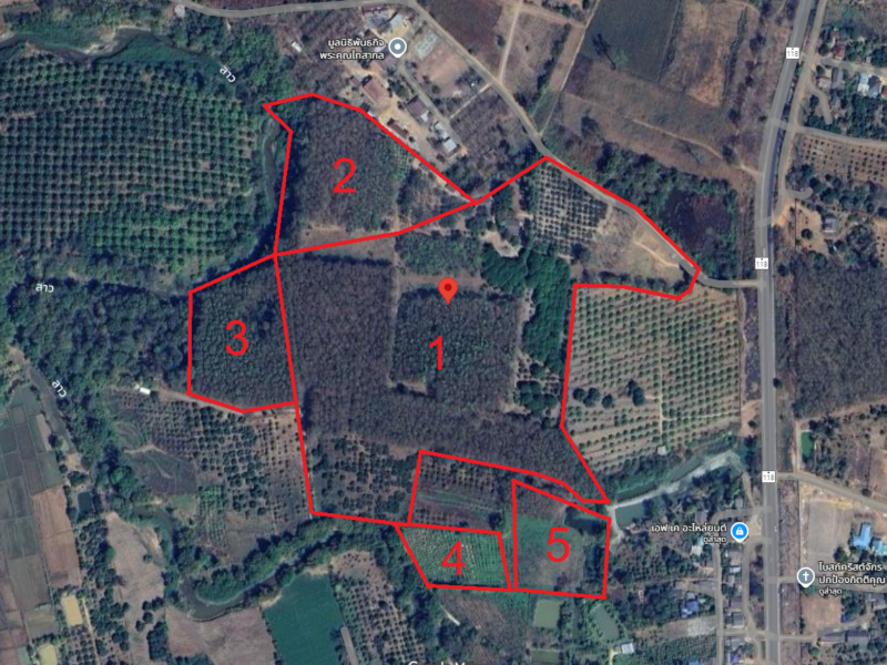 ที่ดินผืนใหญ่ เชียงราย มีต้นสักกว่า 4000 ต้น และไม้ยืนต้นจำนวนมาก