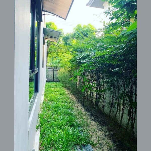ประกาศให้เช่า - บ้านแฝดสไตล์บ้านเดี่ยว พร้อมอยู่ ทำเลพระราม 9 - อ่อนนุช (เข้าอยู่ได้ 12 กุมภา 2569)