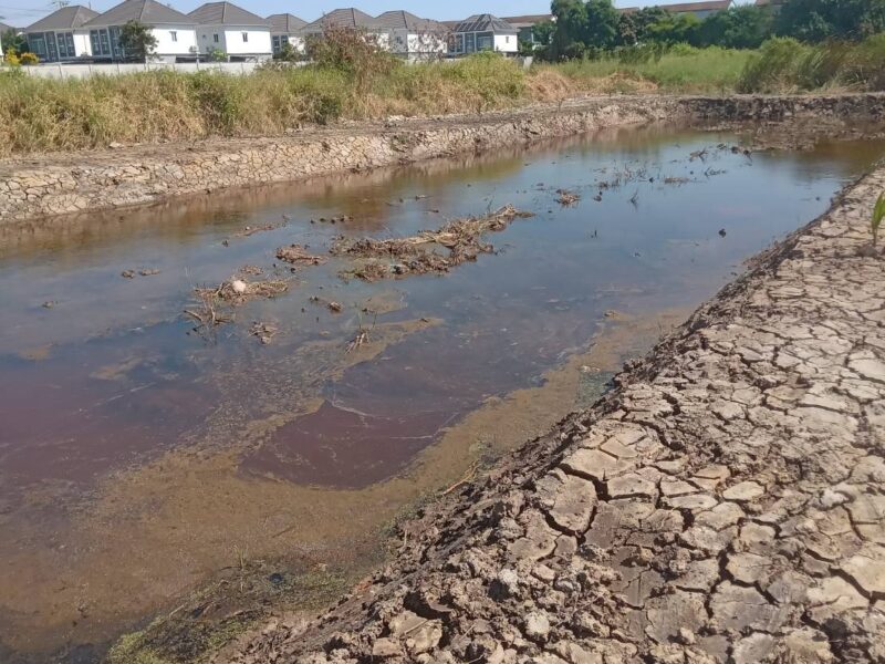 ขายที่ดินเปล่า 525 ตรว. ติดถนนคอนกรีต อยู่ในซอยเทศบาลบางปู 83 ตรงข้ามหมู่บ้านสิวารมย์ 1 และ 2