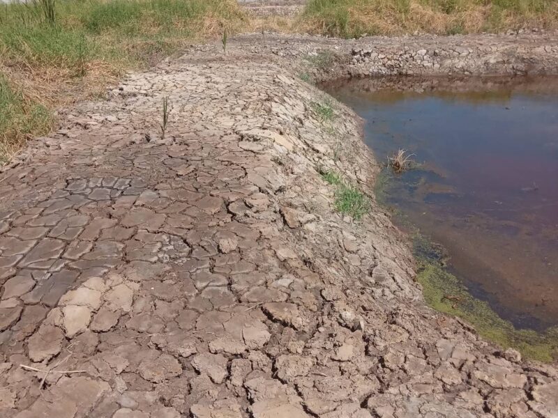 ขายที่ดินเปล่า 525 ตรว. ติดถนนคอนกรีต อยู่ในซอยเทศบาลบางปู 83 ตรงข้ามหมู่บ้านสิวารมย์ 1 และ 2