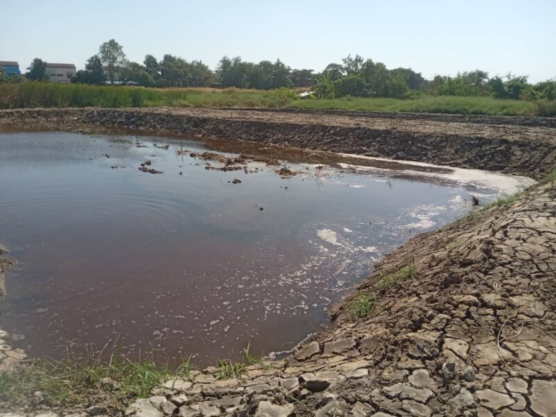 ขายที่ดินเปล่า 525 ตรว. ติดถนนคอนกรีต อยู่ในซอยเทศบาลบางปู 83 ตรงข้ามหมู่บ้านสิวารมย์ 1 และ 2