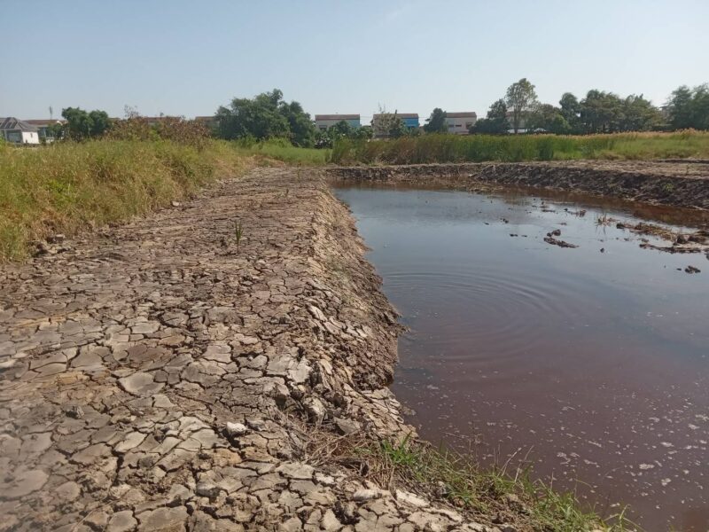 ขายที่ดินเปล่า 525 ตรว. ติดถนนคอนกรีต อยู่ในซอยเทศบาลบางปู 83 ตรงข้ามหมู่บ้านสิวารมย์ 1 และ 2