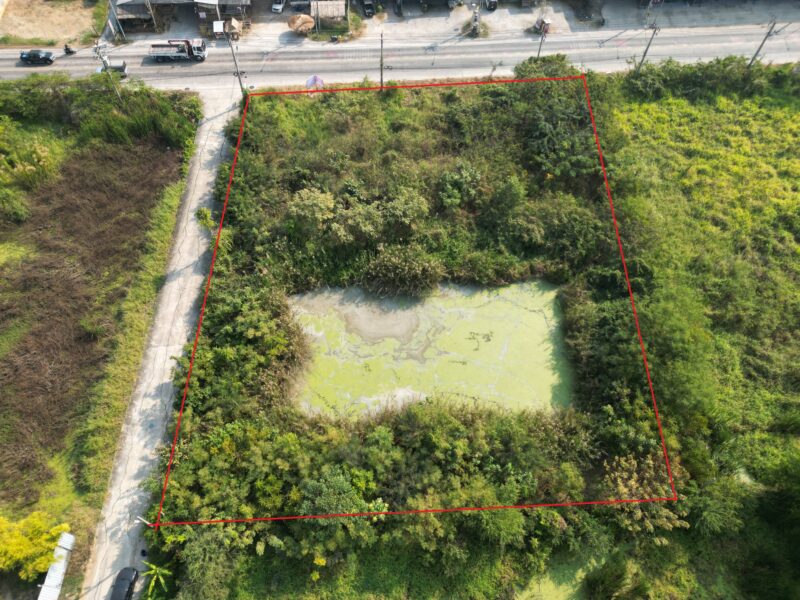 ที่ดินนนทบุรี ไทรน้อย 2 ไร่ ติดถนนใหญ่ สอบถามโทร 099-545-9556