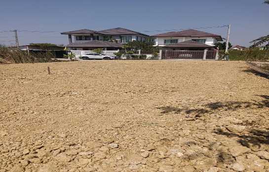 ขายที่ดินถมแล้ว ทำเลศาลายา-คลองโยง เหมาะสร้างบ้าน ใกล้ ม.มหิดล และศูนย์การค้า