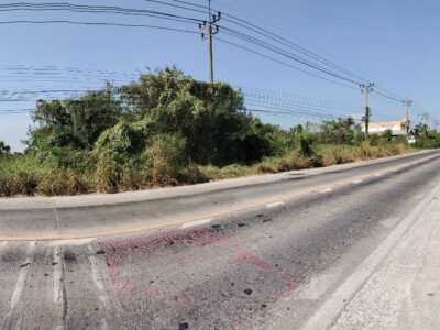 ที่ดินไทรน้อย นนทบุรี ติดถนนใหญ่ ทำเลธุรกิจ 2 ไร่กว่า เจ้าของขายเอง