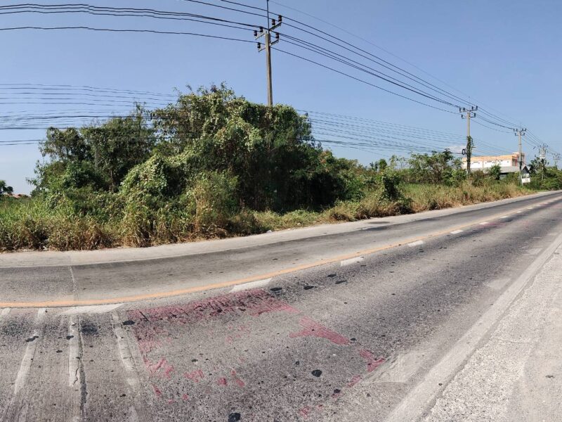 ที่ดินไทรน้อย นนทบุรี ติดถนนใหญ่ ทำเลธุรกิจ 2 ไร่กว่า เจ้าของขายเอง