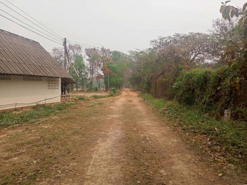 ขายที่ดิน 40 ไร่ 0 งาน 67.5 ตร.ว. ติดถนนหมายเลข 1186 ใกล้กรมทหารพรานที่ 31 พะเยา