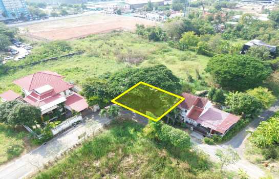 ขายที่ดิน เลียบคลองประปา ชุมชนบ้านใหม่สมานฉันท์6 85.8 ตร.วา ทำเลศักยภาพใกล้ทางด่วน โซนศรีสมาน-เมืองทองธานี (ซ.วัดพระแม่ฯ) เหมาะปลูกบ้าน