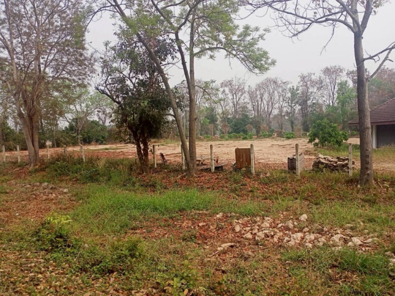 ขายที่ดิน 40 ไร่ 0 งาน 67.5 ตร.ว. ติดถนนหมายเลข 1186 ใกล้กรมทหารพรานที่ 31 พะเยา