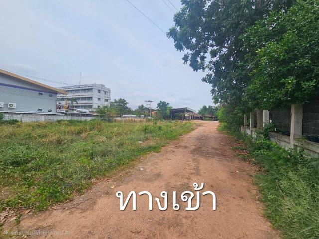 ขายที่ดิน ติดการไฟฟ้าส่วนภูมิภาคจังหวัดชัยภูมิ