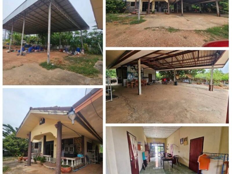 ขายที่ดิน ติดการไฟฟ้าส่วนภูมิภาคจังหวัดชัยภูมิ