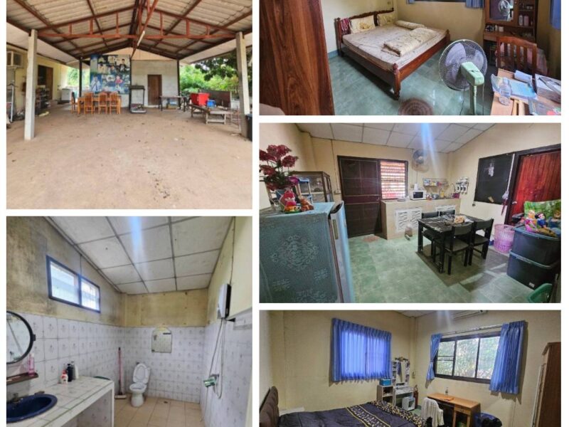 ขายที่ดิน ติดการไฟฟ้าส่วนภูมิภาคจังหวัดชัยภูมิ