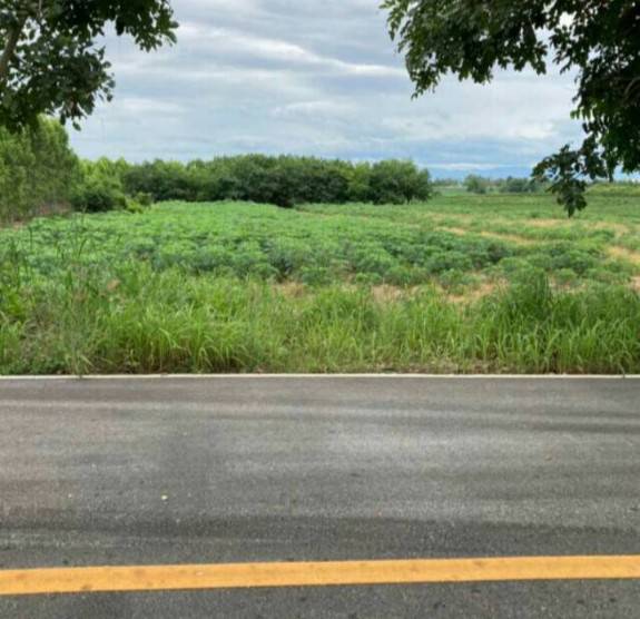 ขายที่ดินสวยราคาถูก ในตำบลไตรตรึงษ์ อำเภอเมืองกำแพงเพชร ติดถนนสองด้าน ติดทางสาธารณะ