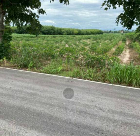 ขายที่ดินสวยราคาถูก ในตำบลไตรตรึงษ์ อำเภอเมืองกำแพงเพชร ติดถนนสองด้าน ติดทางสาธารณะ