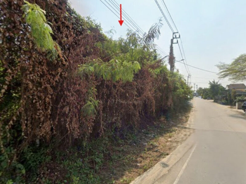 ขายที่ดิน 5-3-29.1 ไร่ ติดถนนอัจฉริยะประสิทธิ์ 1 ใกล้เซ็นทรัล เวสต์วิลล์