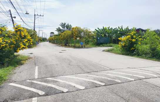 ขายที่ดินถมแล้ว ทำเลศาลายา-คลองโยง เหมาะสร้างบ้าน ใกล้ ม.มหิดล และศูนย์การค้า