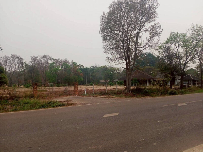 ขายที่ดิน 40 ไร่ 0 งาน 67.5 ตร.ว. ติดถนนหมายเลข 1186 ใกล้กรมทหารพรานที่ 31 พะเยา