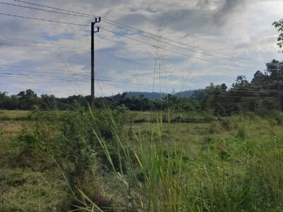 ที่ดินเชียงใหม่ ดอยสะเก็ด ติดถนนใหญ่ ราคาคุยกันได้