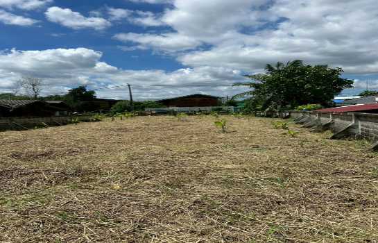 ขายที่ดิน 0 ไร่ 1 งาน 61 ตร.ว. ติด ถ.หัวถนน ติด แม่น้ำเจ้าพระยา ใกล้วัดบางนา