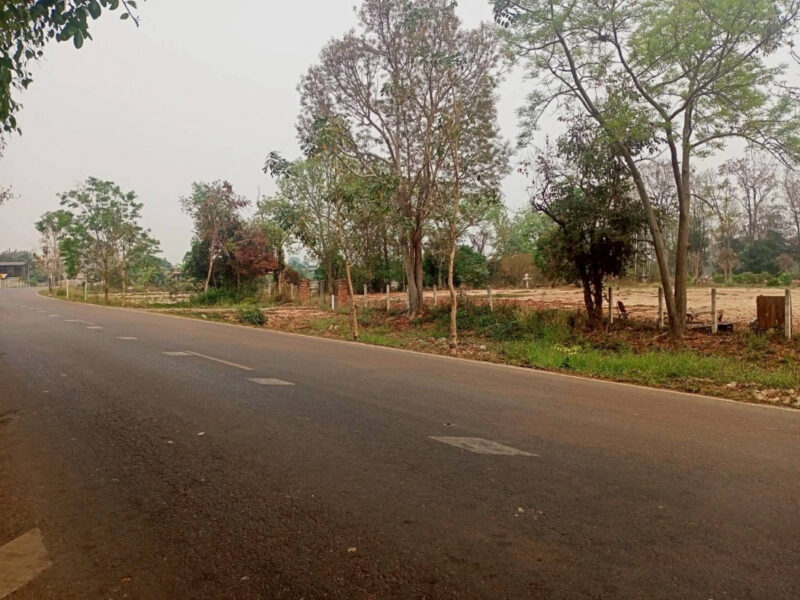 ขายที่ดิน 40 ไร่ 0 งาน 67.5 ตร.ว. ติดถนนหมายเลข 1186 ใกล้กรมทหารพรานที่ 31 พะเยา